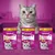 Whiskas Snacks mit Huhn: Anti-Hairball 50g, Dentabites 40g, Vitamin E-Xtra 50g. Neue Verpackung mit 60% weniger Plastik, gleicher Geschmack.