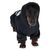 TIAKI Leuchtender Skelett-Hoodie für Hunde