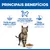 Hill's Science Plan Perfect Weight Adult 1+ frango ração para gatos