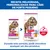 Hill's Science Plan Senior 11+ Small & Mini com frango