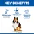 Hill's Science Plan Sensitive Stomach & Skin Adult 1 + Medium with Chicken