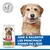 Hill's Science Plan Mature Adult 7+ Senior Vitality Small & Mini au poulet Hill's Science Plan Mature Adult 7+ Senior Vitality Small & Mini au poulet