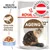 Royal Canin Ageing 12+, Gelee, gesunde Gelenke EPA/DHA, hergestellt in Österreich, Health Nutrition, Abbildung einer Katze auf der Verpackung.