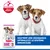 Hill`s Science Plan Puppy Small et Mini agneau et riz