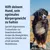 Hilft deinem Hund, sein optimales Körpergewicht zu halten. Trockenfutter zur Gewichtskontrolle, fördert Beweglichkeit, schützt Gelenke und erhält Muskelmasse. Hilft deinem Hund, sein optimales Körpergewicht zu halten. Trockenfutter zur Gewichtskontrolle, fördert Beweglichkeit, schützt Gelenke und erhält Muskelmasse.
