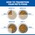 Hill's Science Plan Perfect Digestion Puppy Large csirke & barna rizs