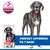 Hill's Science Plan Perfect Digestion Adult Large med kylling & brune ris
