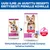 Hill's Science Plan Adult 1-6 Small & Mini lammas & riisi