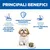 Hill's Science Plan Mature Small & Mini Mousse umido per cane