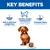 Hill's Science Plan Perfect Weight Adult Small & Mini Mousse