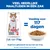 Hill's Science Plan Adult Sterilised saumon pour chat