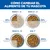 Cambio de alimentación: días 1-2, 25% de alimento nuevo; días 3-4, 50%; días 5-6, 75%; día 7, 100% de alimento nuevo. Representación gráfica con comederos. Cambio de alimentación: días 1-2, 25% de alimento nuevo; días 3-4, 50%; días 5-6, 75%; día 7, 100% de alimento nuevo. Representación gráfica con comederos.