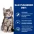 Hill's Prescription Diet i/d Digestive Care Kitten kylling i saus