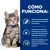 Hill's Prescription Diet i/d Digestive Care Kitten pollo en salsa