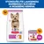 Hill's Science Plan Adult 1-6 Small & Mini kuracie