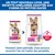 Hill's Science Plan Adult 1-6 Small & Mini poulet pour chien