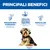 Hill's Science Plan Adult 1+ Sensitive Stomach & Skin Small & Mini Pollo