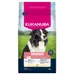 Eukanuba Premium Nutrition Senior Medium Breed au poulet pour chien - 3 kg
