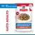 Hill's Science Plan Pedaços Premium em Molho com Peixe do Oceano, Adulto 1-6, Gato Adulto, Pedaços em Molho, com peixe do oceano, Ração Premium para Gatos.