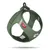 Curli Vest Geschirr Clasp Air-Mesh, moss - Brustumfang 49,1 - 55,4 cm (Größe L)