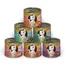 Pack ahorro Kitty Cat Adult Pate 24 x 200 g - Pack mixto II (6 variedades)