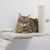 Kerbl Pet Kletterwand Matterhorn für Katzen, beige