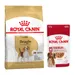 Royal Canin Breed Dry Dog Food + Royal Canin Wet Dog Food - 15% Off! * - Beagle Adult (12kg) + Medium Adult in Gravy (10 x 140g)