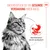 Royal Canin Digestive Care AirLift Mousse