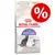 Pachet hrană uscată Royal Canin Sterilised 37 pentru pisici, inscripție promoțională cu simbol procent. Text vizibil: Weight Management, Urinary Health, Regular Sterilised 37. Pachet hrană uscată Royal Canin Sterilised 37 pentru pisici, inscripție promoțională cu simbol procent. Text vizibil: Weight Management, Urinary Health, Regular Sterilised 37.