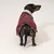 Nomad Tales Spirit Softshell-Hundemantel, burgunderrot Nomad Tales Spirit Softshell-Hundemantel, burgunderrot