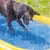 Beeztees hundpool Palmy