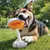 Beeztees Hundespielzeug Pawtini, orange/weiss