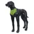 Icepeak Pet Cooling Dog Bandana – Green