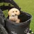 Nomad Tales Hundewagen mit schwarzem Stoff und Netzabdeckung, kleiner Hund sitzt darin. Markenlogo sichtbar auf der Vorderseite des Wagens.