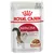 Royal Canin Instinctive, märkäruoka aikuisille kissoille, 85 g, pieniä paloja kastikkeessa.
