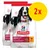 Lot de 2 sacs Hill's Science Plan Adult 1–6 Medium 11–25 kg, poulet. Texte visible : « Supports immunity, healthy digestion and lean muscles in adult dogs ».