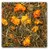 Getrocknete Kräuter und Blüten, darunter orangefarbene Ringelblumen und grüne Gräser. Geeignet als Ergänzungsfutter für Kleintiere.