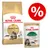 Zestaw Royal Canin Breed, 4 kg + 12 x 85 g karmy mokrej Royal Canin - Maine Coon Adult + Breed Maine Coon, 12 x 85 g