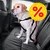 Hund mit Sicherheitsgeschirr auf einem Autositz. Gelbes Prozentzeichen für Rabatt sichtbar.
