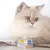 GimCat ShinyCat w galarecie, 6 x 70 g GimCat ShinyCat w galarecie, 6 x 70 g