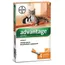 Advantage® 40 soluzione spot-on gatti e conigli da 0 a 4 kg - Set %: 2 x 4 pipette da 0,4 ml