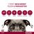 Advantix® 400/2000 Spot-On Solution voor Honden 25 - 40 kg