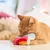 Rote Katze spielt mit einem bunten Stoffspielzeug in Regenbogenfarben auf hellem Boden.