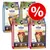 Bosch Adult Hundefutter ab 12 Monaten, Sorten: Fisch & Kartoffel, Geflügel, Lamm & Reis. Rabatt-Symbol mit Prozentzeichen sichtbar. Bosch Adult Hundefutter ab 12 Monaten, Sorten: Fisch & Kartoffel, Geflügel, Lamm & Reis. Rabatt-Symbol mit Prozentzeichen sichtbar.