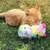 Red cat lying on grass playing with a colourful plush toy shaped like a llama.