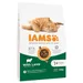 IAMS Advanced Nutrition Adult Cat Lamb - 10 kg