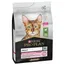 PURINA PRO PLAN Adult Delicate Digestion Lamm - Sparpaket: 3 x 3 kg