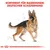 Sortiment für Rassehunde: Deutscher Schäferhund. Illustration eines Deutschen Schäferhundes mit anatomischen Skizzen im Hintergrund.