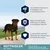 Rottweiler da 1 anno. Le proteine aiutano a sviluppare una muscolatura forte, beta-carotene per rafforzare le difese immunitarie, L-carnitina e taurina naturale per la salute del cuore.