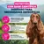 Eukanuba Special Care Sensitive Digestion Adult Eukanuba Special Care Sensitive Digestion Adult
